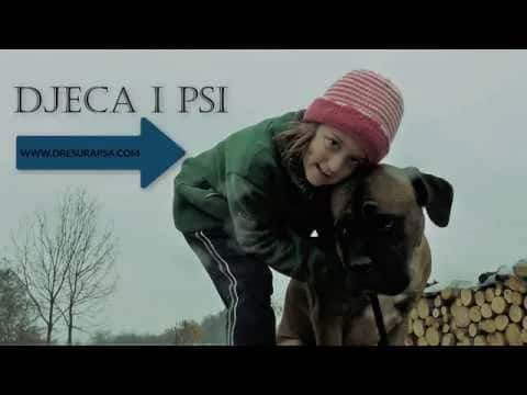 Children and Dogs