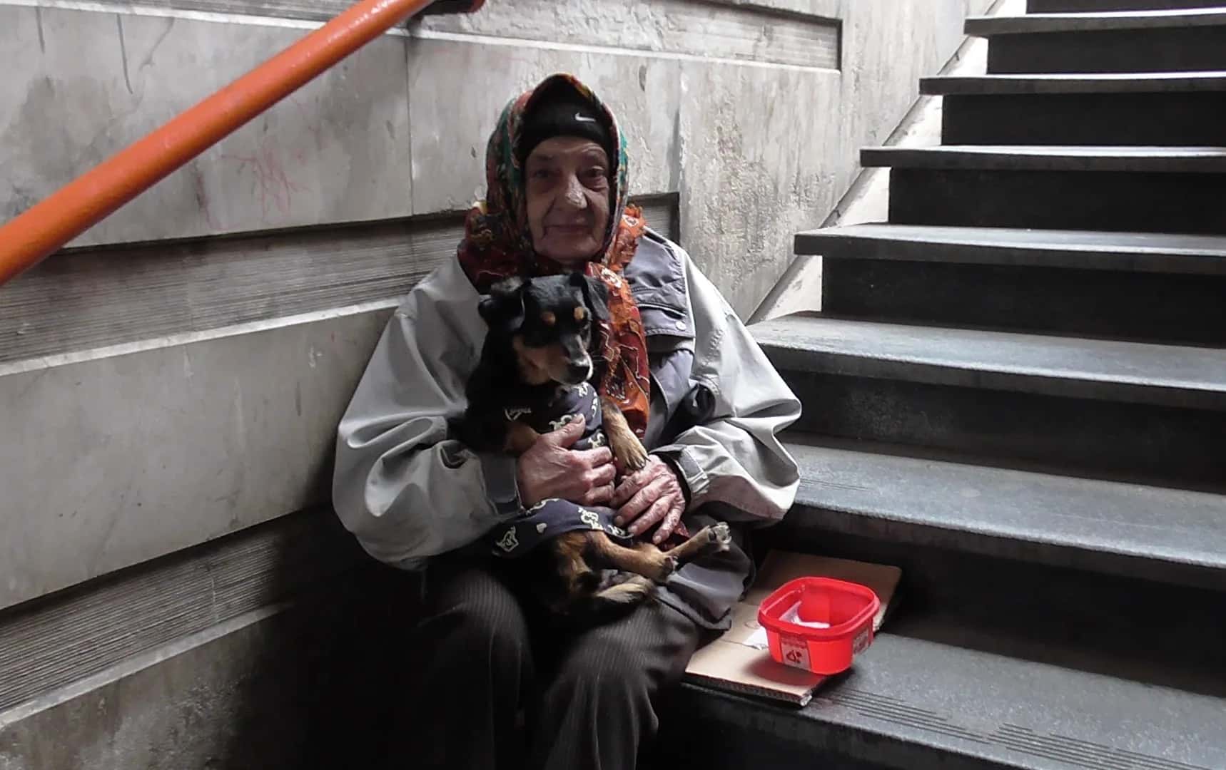 One Dinar for an Old Woman and Her Best Friend