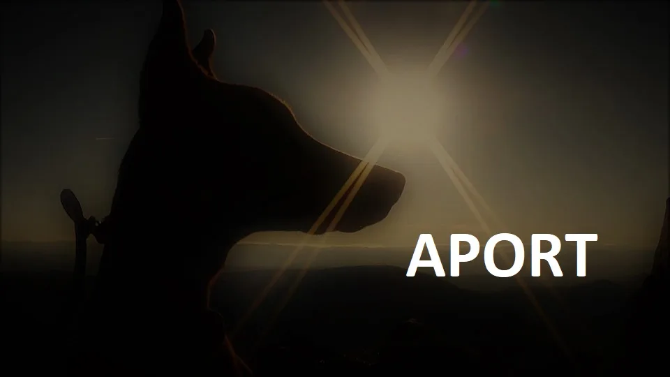 Aport-trening sa psom za donošenje predmeta