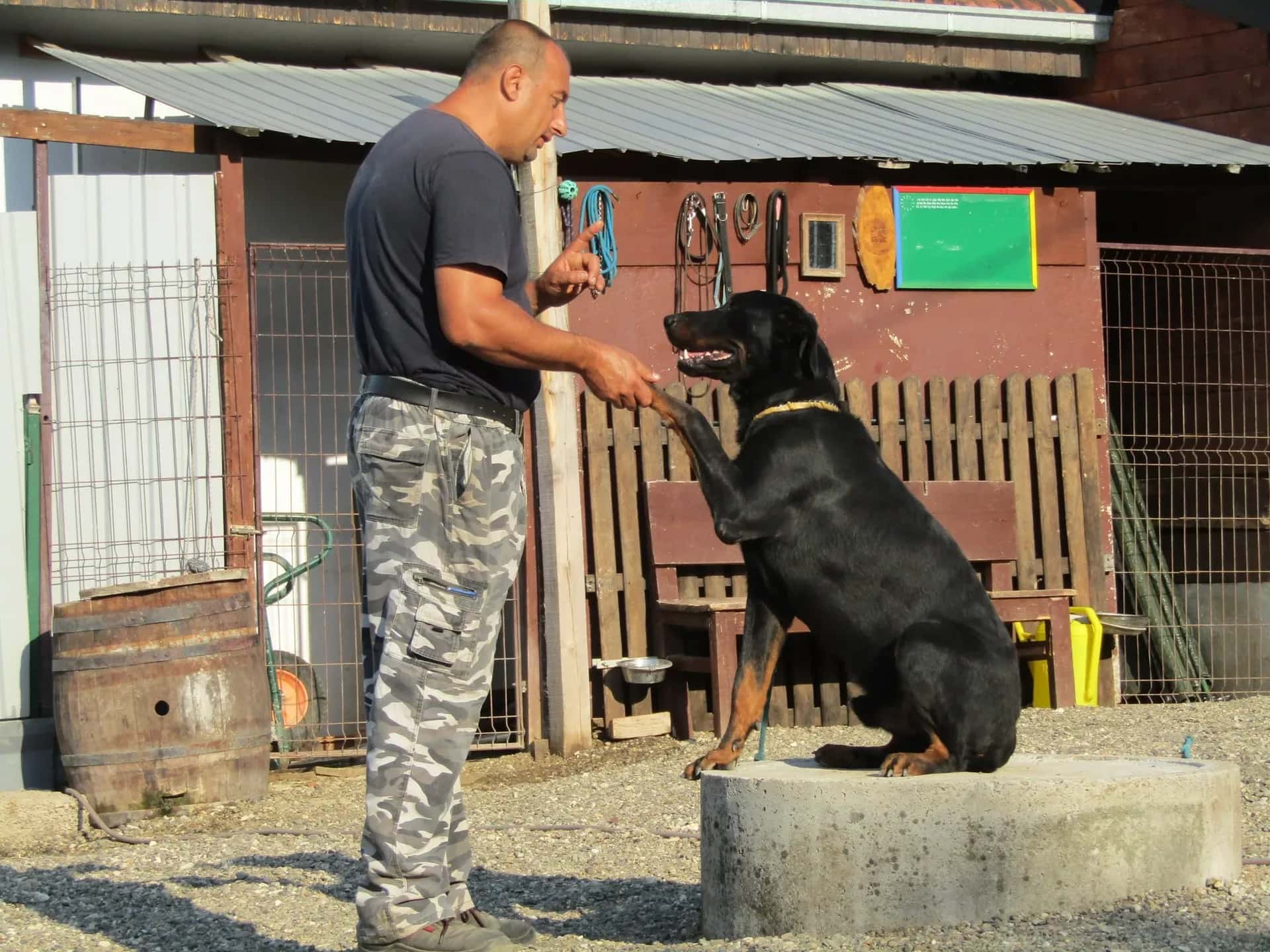 Training at the centre