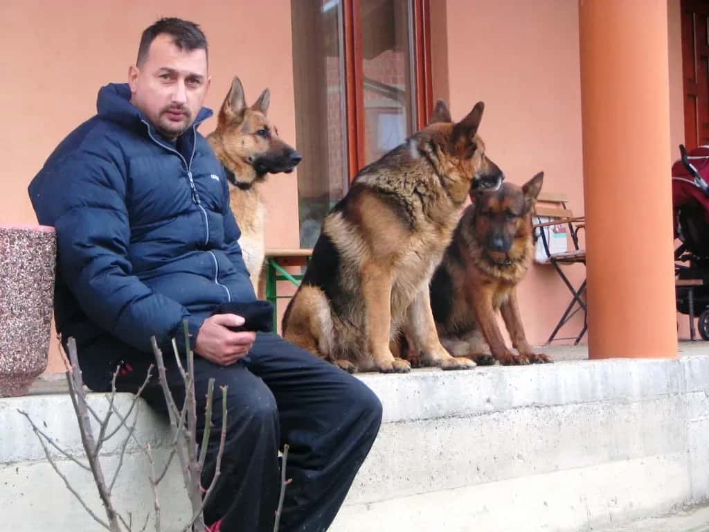 Slaven Stevelić sa tri psa ispred centra