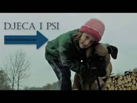Children and Dogs