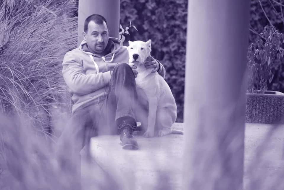Argentine Dog (Dogo Argentino)