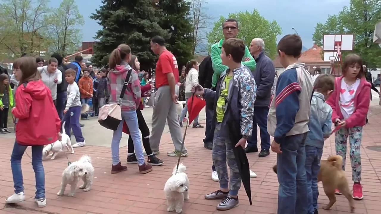 Bravo za školu Filip Filipović iz Čačka