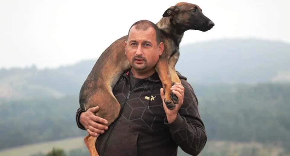 Professional dog training school
