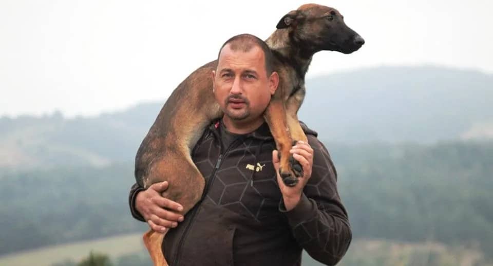Professional dog training school
