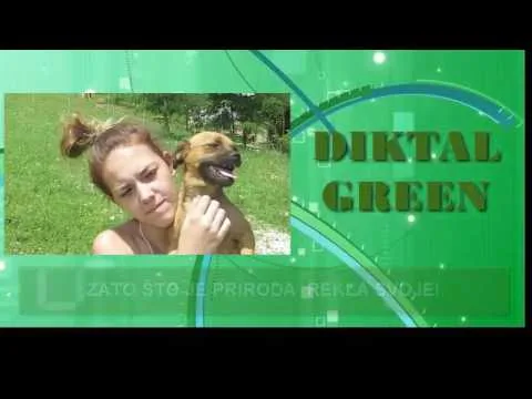 Diktal Green 2