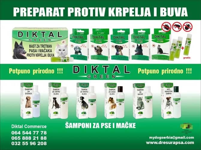 ZAŠTITITE VAŠE LJUBIMCE OD KRPELJA I BUVA NA POTPUNO PRIRODAN NAČIN(VIDEO)