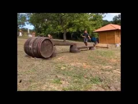 Training with dogs