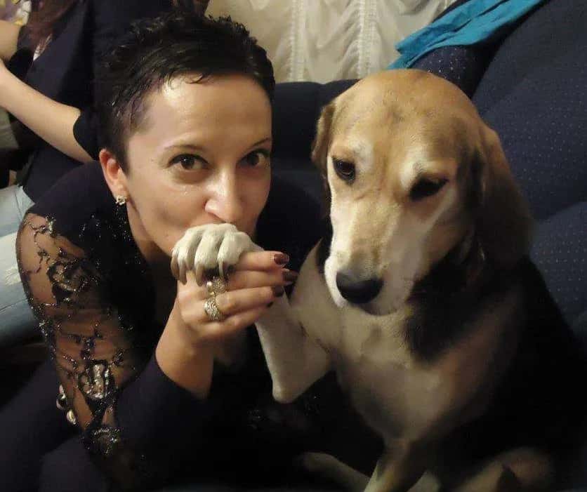 200 dinars for a dog's life