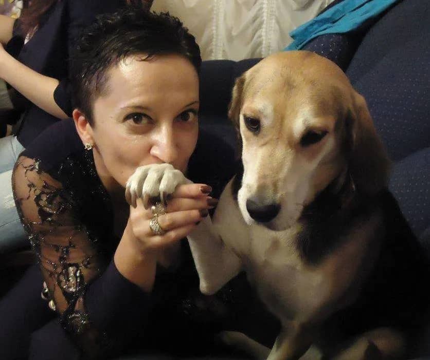 200 dinars for a dog's life