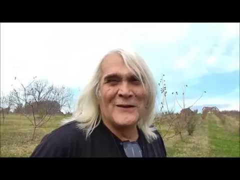 Bora Đorđević