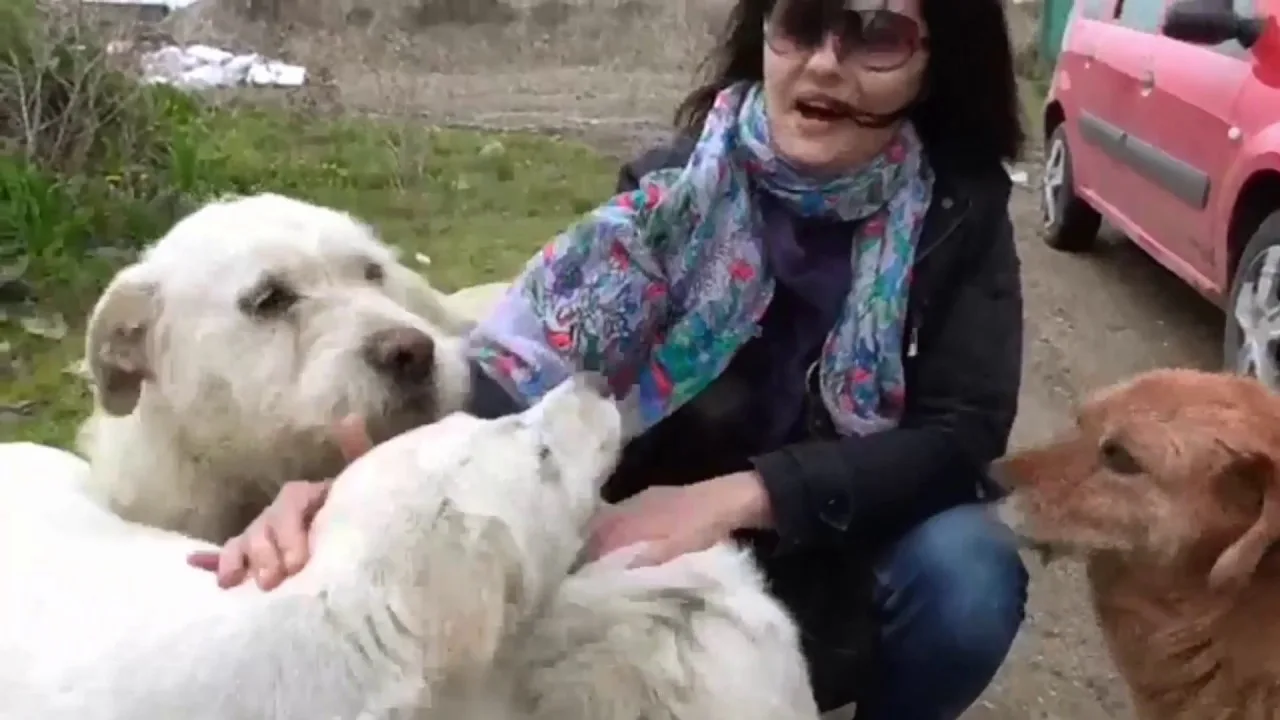 From Paris straight to Kraljevo. Maya Marvin saved a puppy from certain death