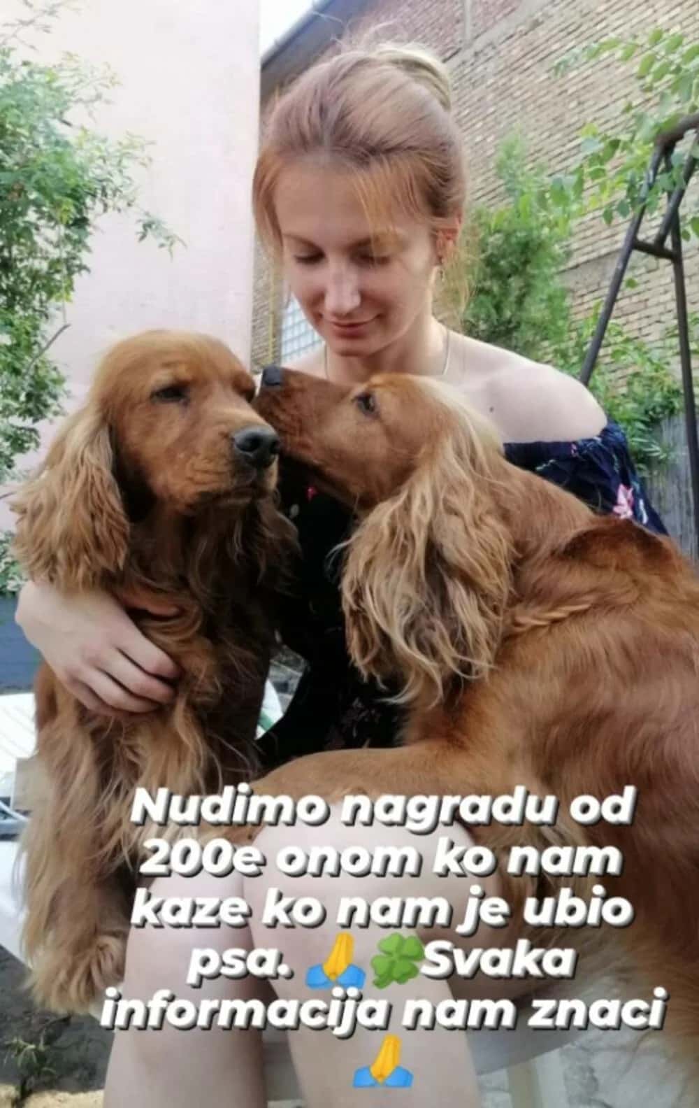 IVANA NUDI 200 EVRA ZA INFORMACIJE O MONSTRUMU KOJI JE UBIO NJENOG PSA: Upucao nedužnu životinju, a moglo se tu naći i dete (FOTO)