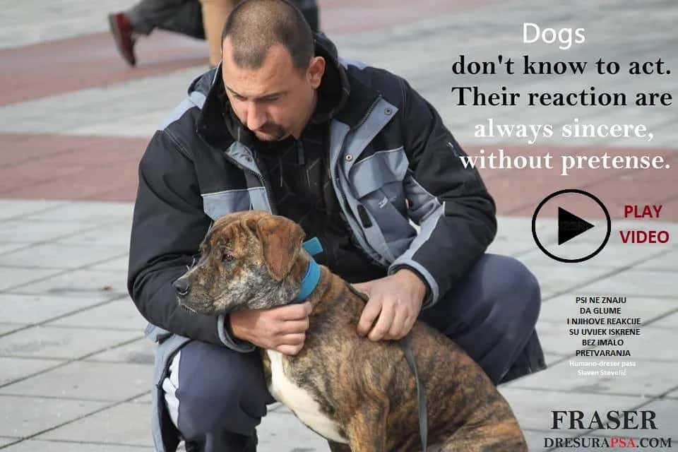 INSTIKTIVNI NAGONI KOD PASA