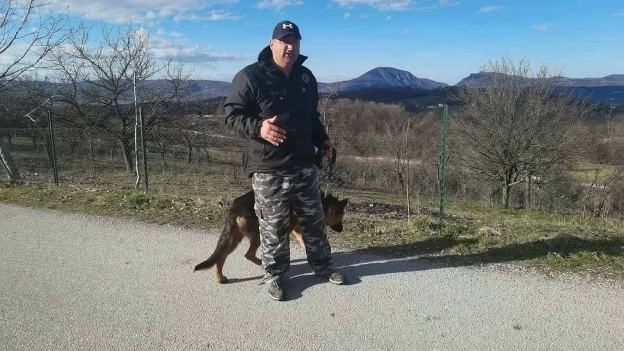 50% ljudi ne zaslužuje da ima psa (VIDEO)