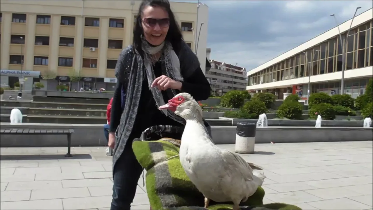 Nikola Lazarević and his duck named Zorica