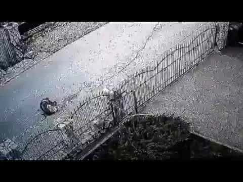 Pogledajte monstruozan snimak gaženja psa u Gračanici