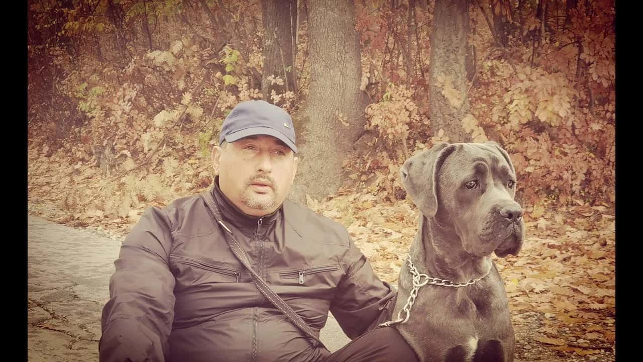 Savjet za socijalizaciju pasa (VIDEO)