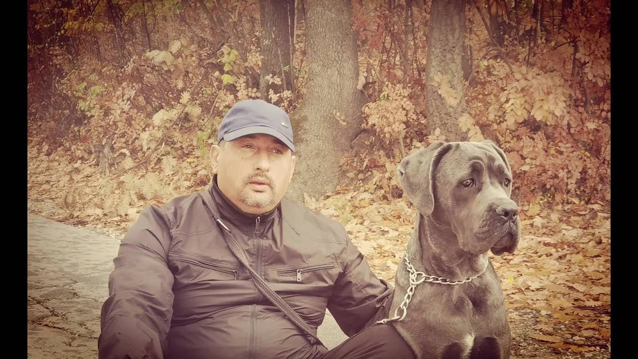 Advice on dog socialisation (VIDEO)