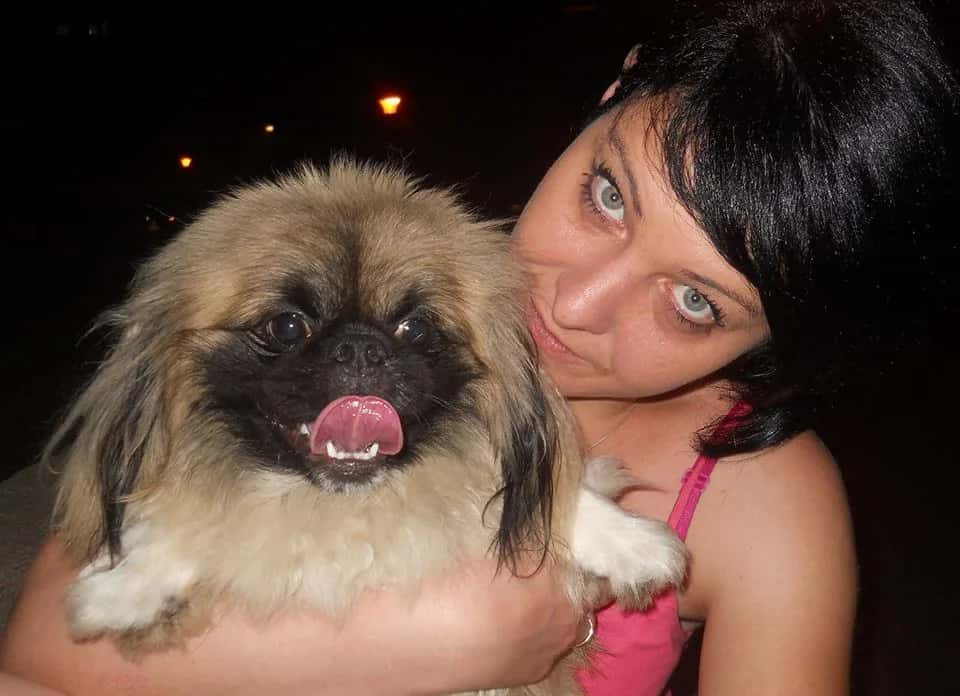 Banja Luka Spay and Neuter Project