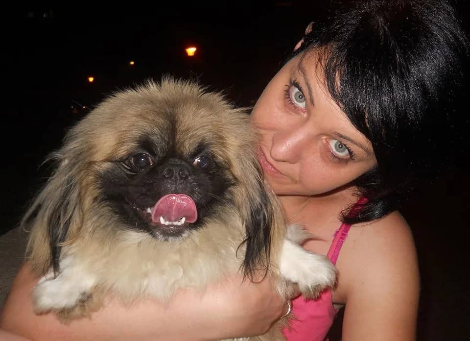 Projekat sterilizacija i kastracija Banja Luka