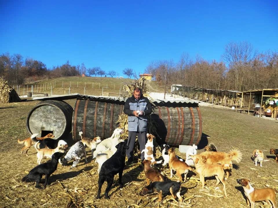 Is the work of the „MY DOG“ centre for abandoned dogs in jeopardy?