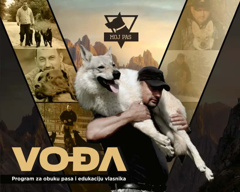 PROGRAM ZA OBUKU PASA I EDUKACIJU VLASNIKA
