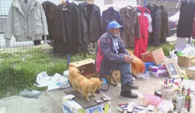 SHOPPERS DISTURBED BY THIS SIGHT AT A FLEA MARKET: Look at what this man is selling! PHOTO