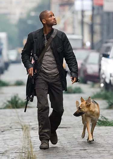 Dogs in the Service of Zombies