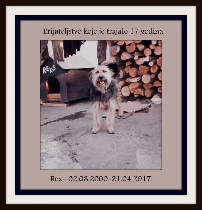 Burying animals is illegal in serbia