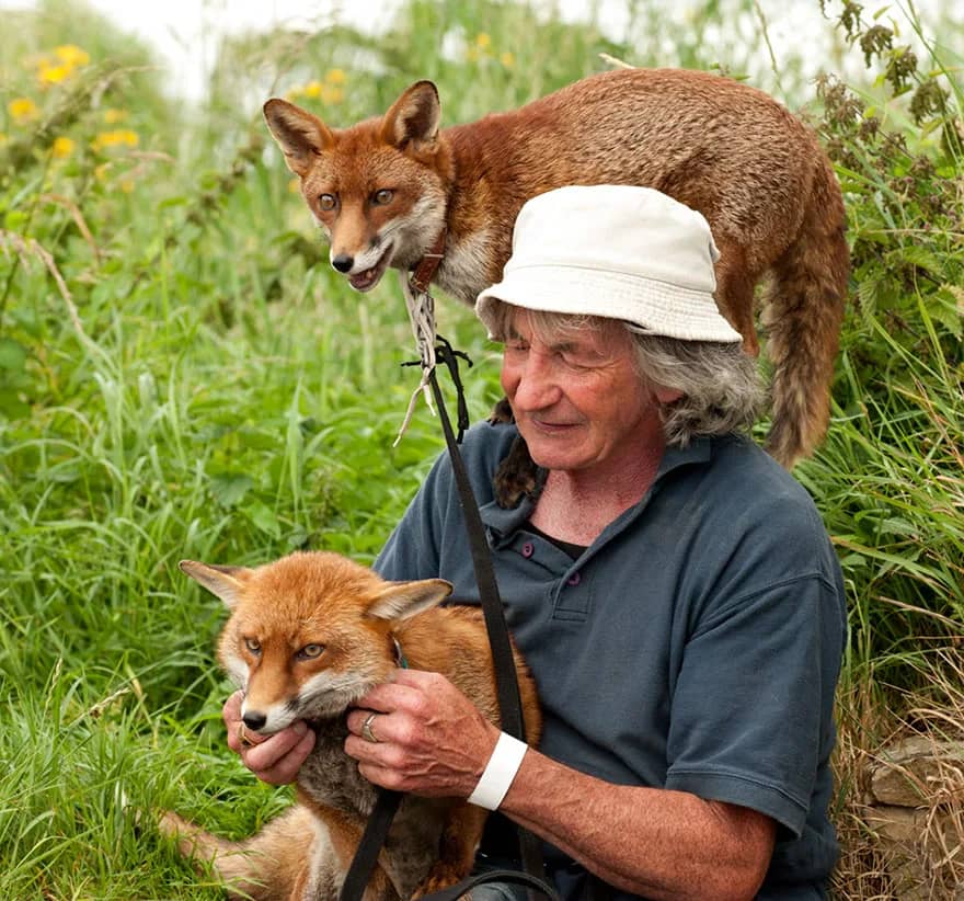 GRATITUDE TO THE SKIES: This man saved two foxes and they have followed him everywhere ever since!