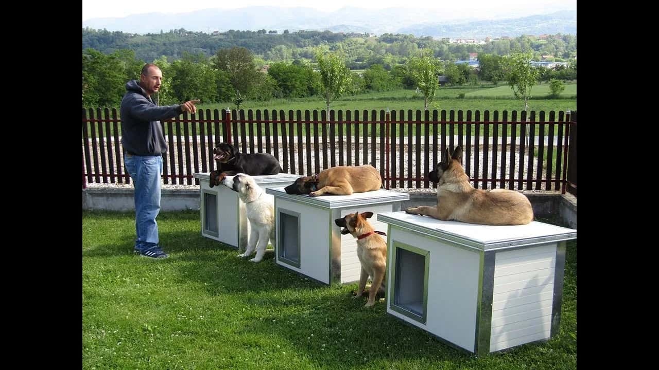 Kućice za pse od panela