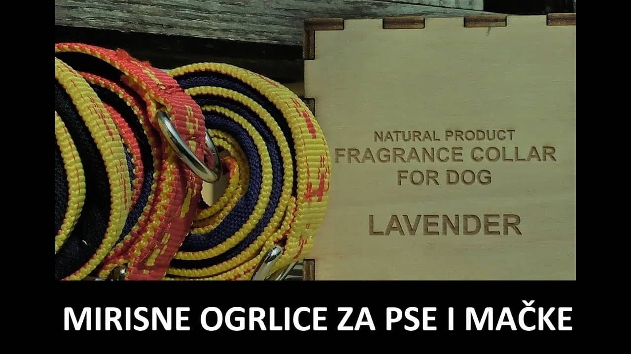NARUČITE MIRISNE OGRLICE ZA SVOJE PSE I MAČKE