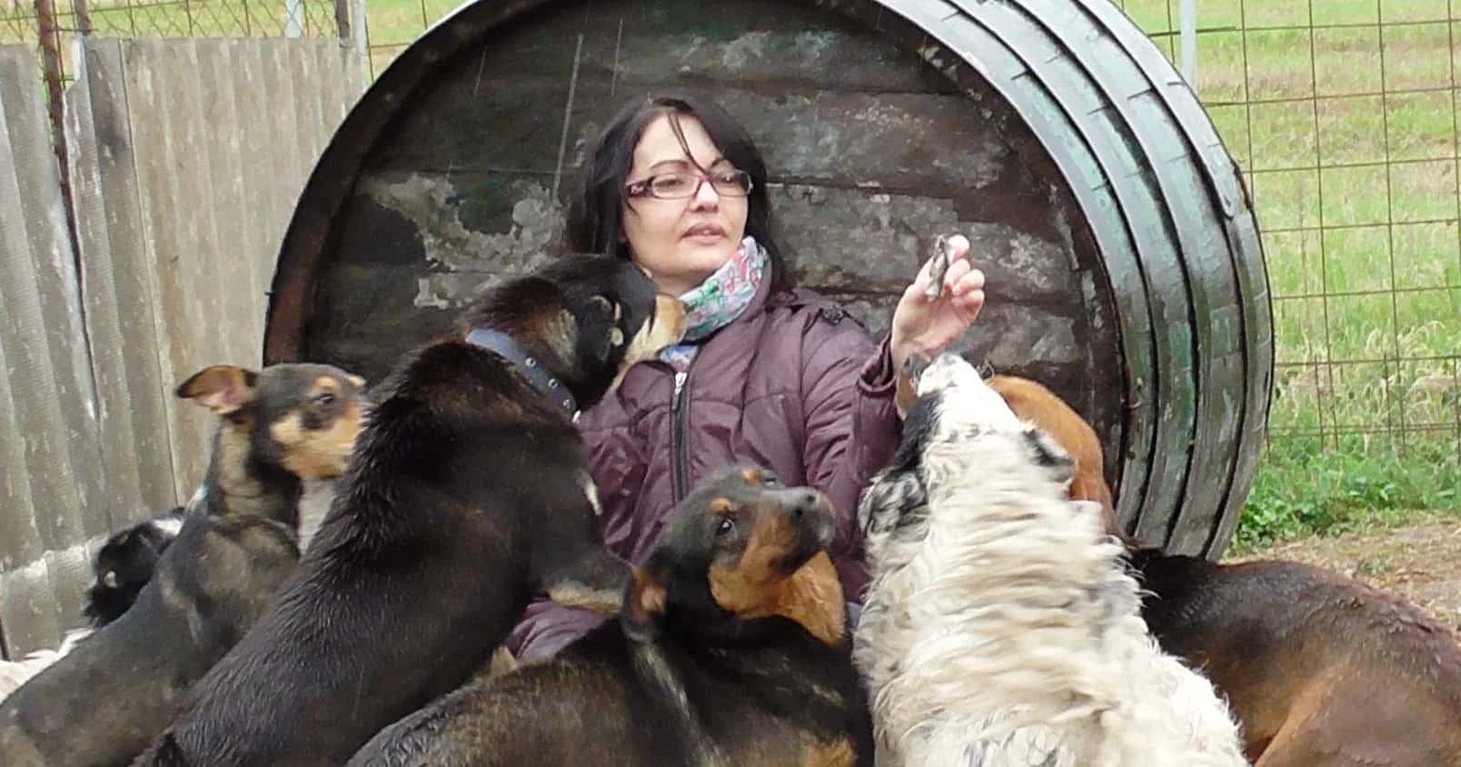 Love for animals knows no borders