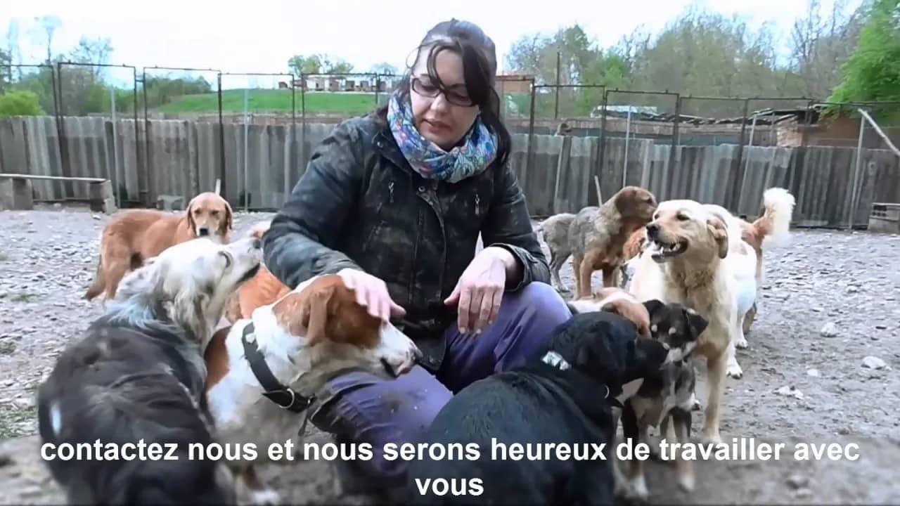 L’Association MOJ PAS est un centre d’accueil pour les chiens abandonnés.