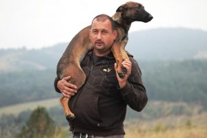 Belgijski ovčar - pas čuvar (2022)